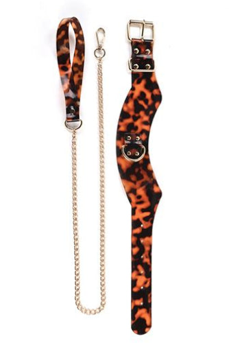 Sincerely Amber Collar and Leash Set, Tortoiseshell Collar Set - AlicePrin.com