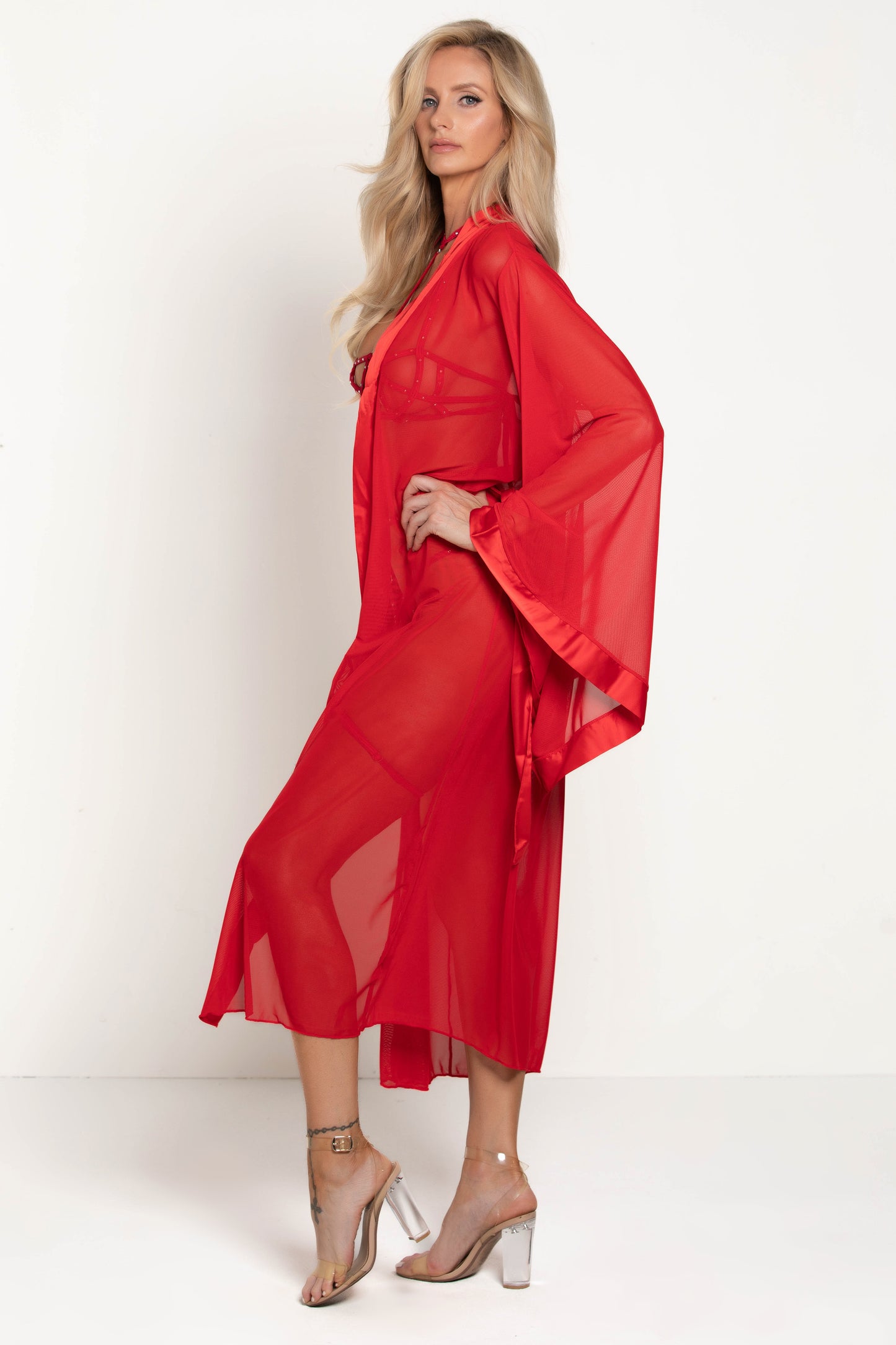 Long Mesh Robe, Long Sheer Robe - AlicePrin.com