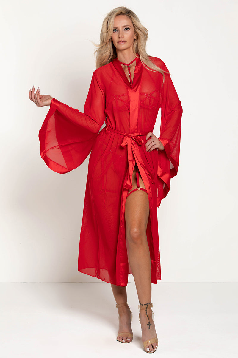 Long Mesh Robe, Long Sheer Robe - AlicePrin.com