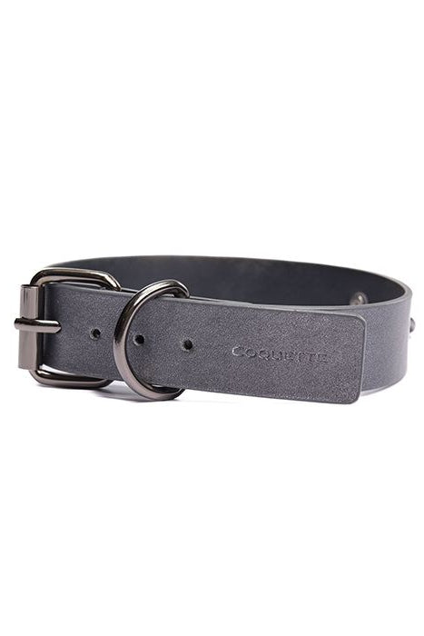 Gunmetal Glam Collar and Leash Set, Black Collar Set - AlicePrin.com