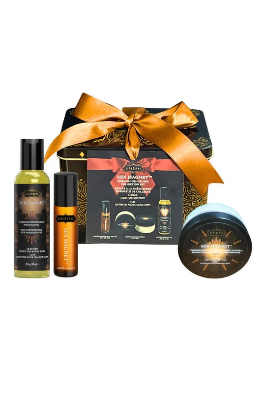 Kama Sutra Sex Magnet Leather Gift Set, Sex Massage Gift Set - AlicePrin.com