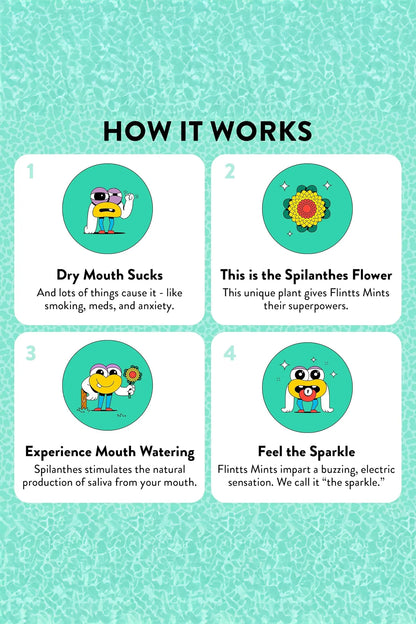 Flintts Mouth-Watering Mints, Saliva Enhancing Mints - AlicePrin.com