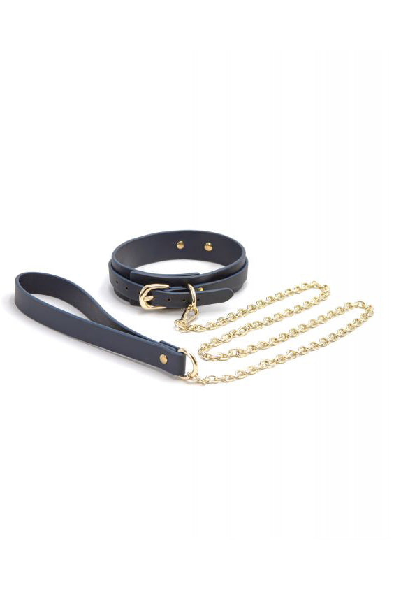 Blue and Gold Vinyl Collar Set, Vinyl Collar and Leash Set - AlicePrin.com