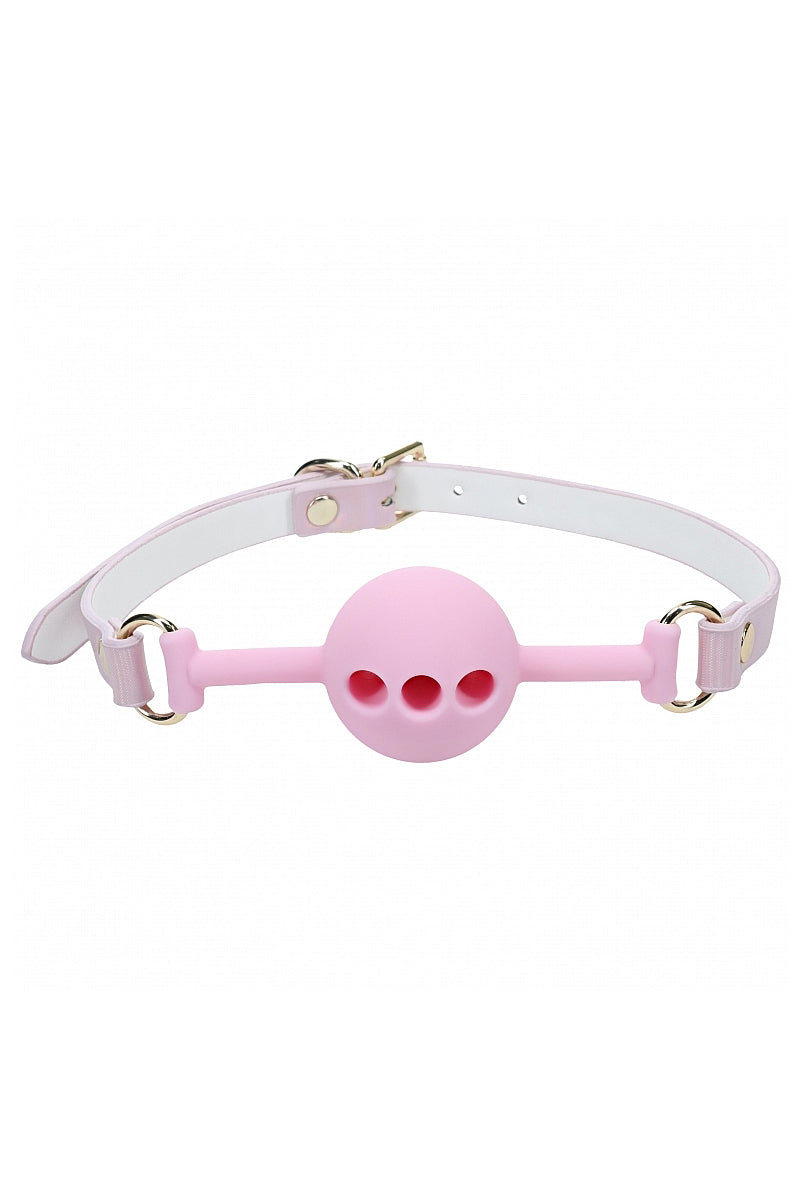 Pink Paris Silicone Ball Gag, Pink Ball Gag - AlicePrin.com