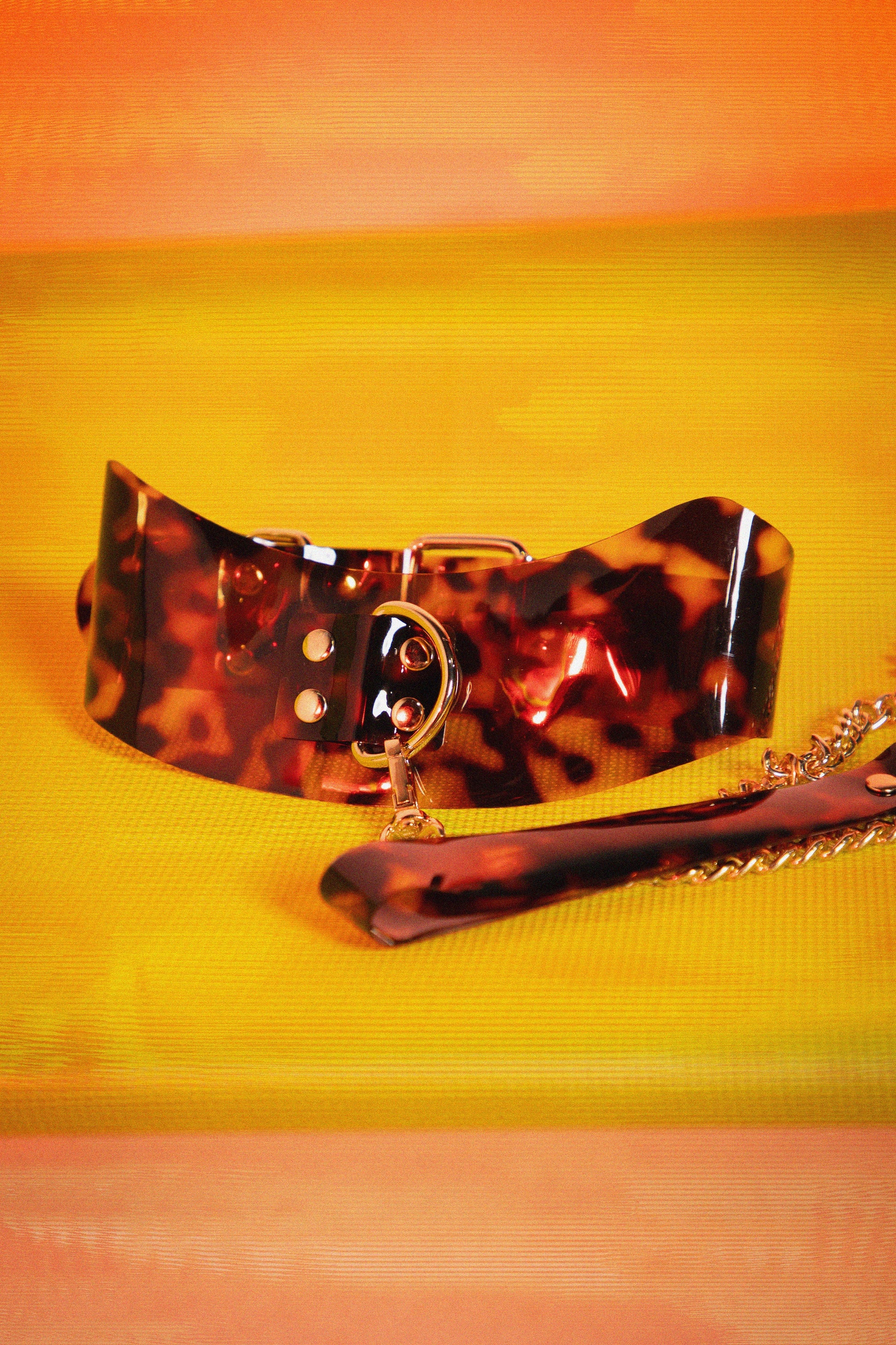 Sincerely Amber Collar and Leash Set, Tortoiseshell Collar Set - AlicePrin.com