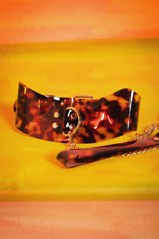 Sincerely Amber Collar and Leash Set, Tortoiseshell Collar Set - AlicePrin.com